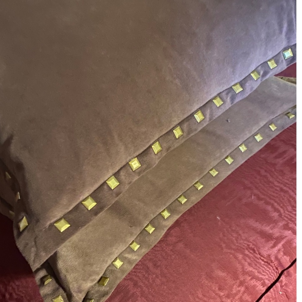 Two throw pillows studded down/feather filled 20 x 20